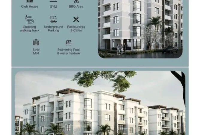 117264964 - Property Image 2