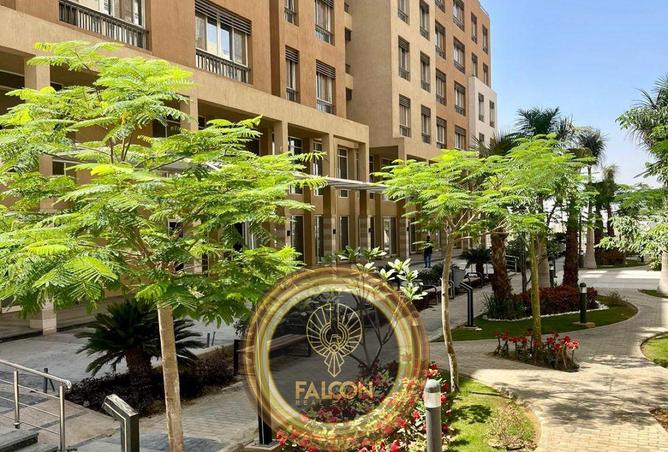 63645036 - Property Image 3