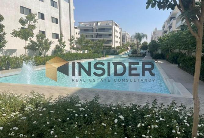 52195774 - Property Image 3