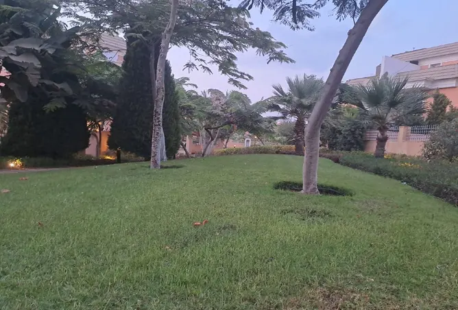 116761438 - Property Image 3