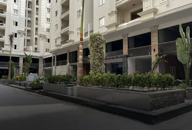 109910314 - Property Image 2
