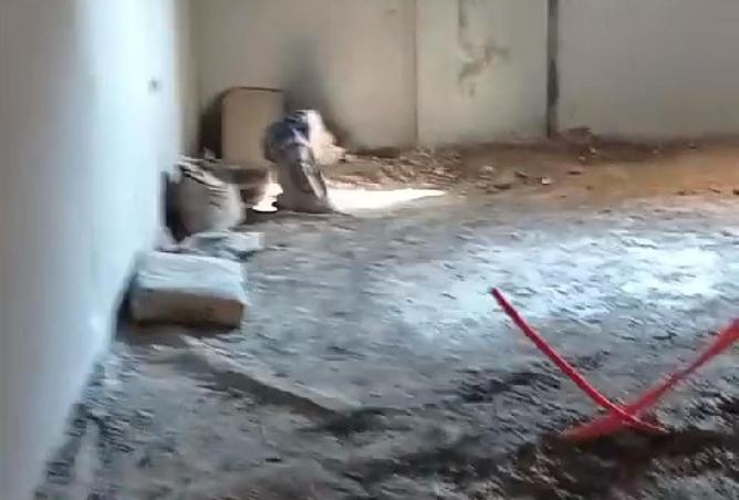 8628903 - صورة العقار 3