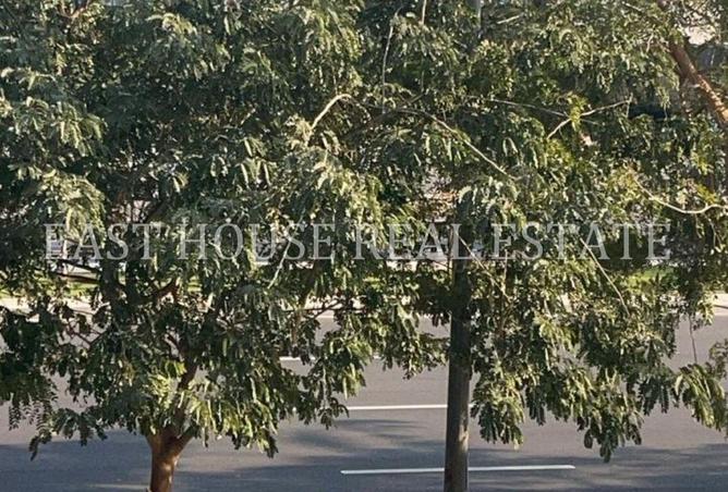 8651586 - صورة العقار 2