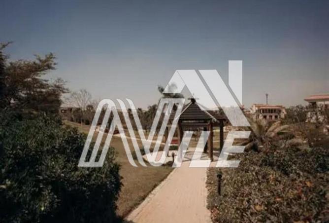 99401647 - Property Image 3