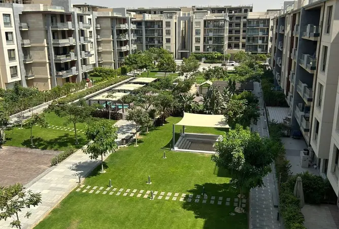 113821952 - Property Image 3
