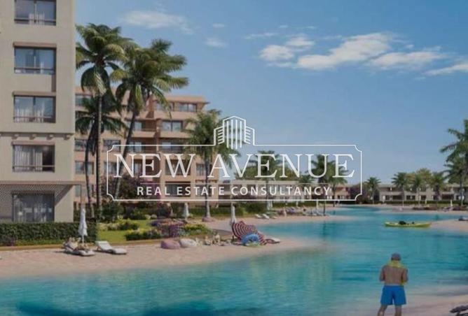 66426834 - Property Image 3