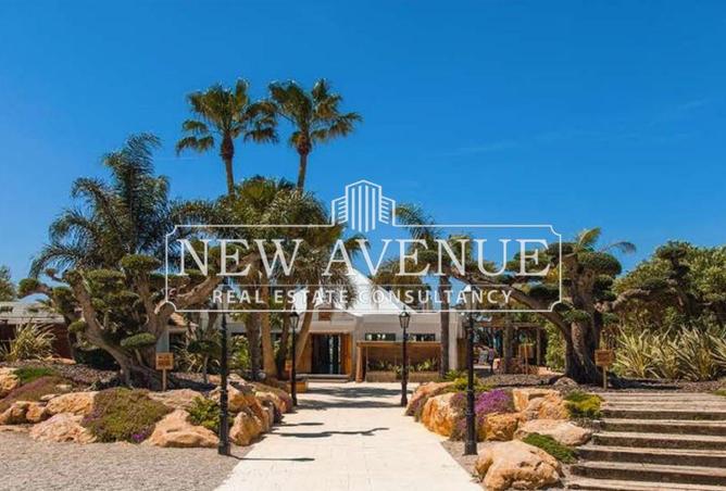 66426834 - Property Main Image