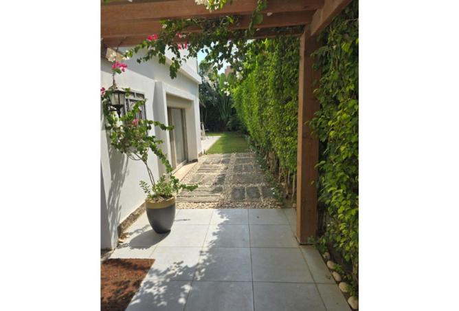 55508072 - Property Image 3