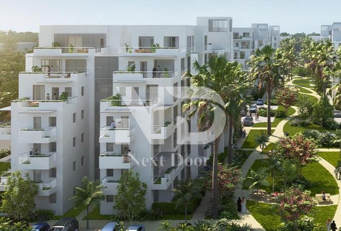 58250612 - Property Image 3