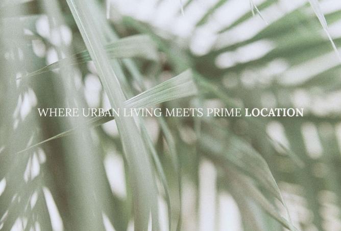 8415262 - صورة العقار 3