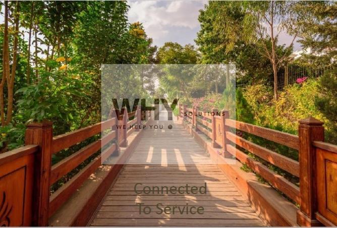 8645223 - صورة العقار 2