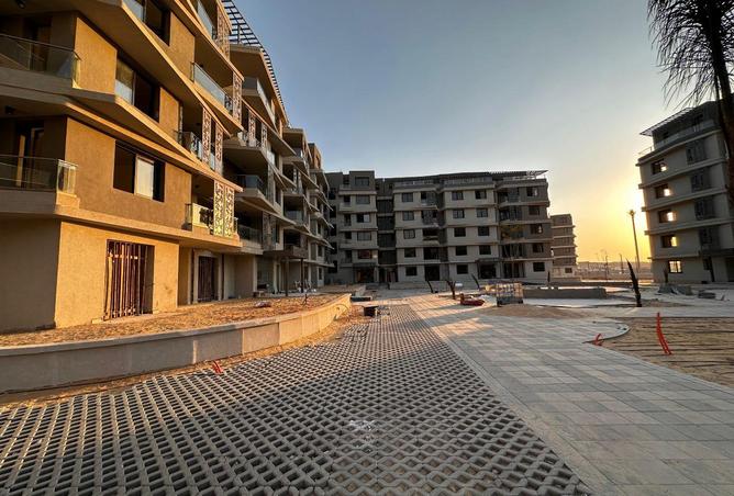 8562377 - Property Image 3