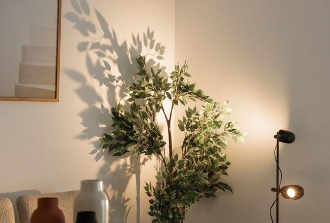 64907873 - صورة العقار 3