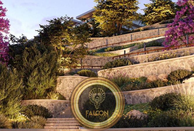 67997593 - صورة العقار 3