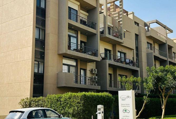 58006074 - صورة العقار 2