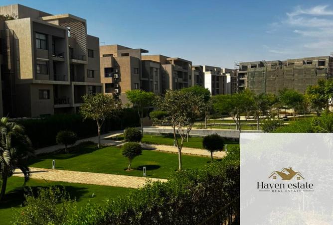 97147059 - صورة العقار 2