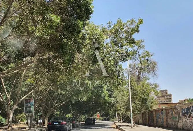 110737794 - صورة العقار 2