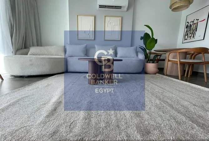 115173846 - Property Image 3