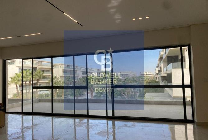 54747936 - Property Image 3