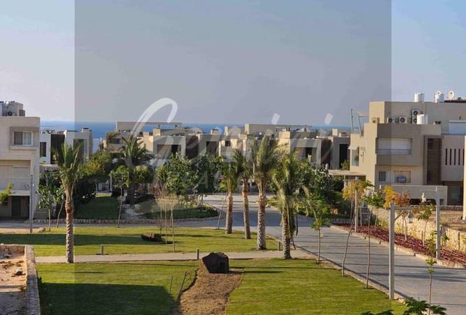 91003801 - صورة العقار 2
