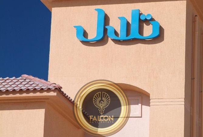 67475616 - صورة العقار 3