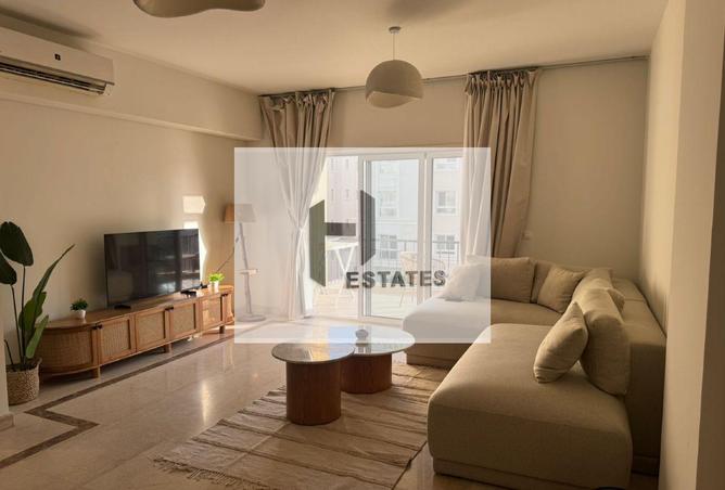 64145154 - Property Image 2