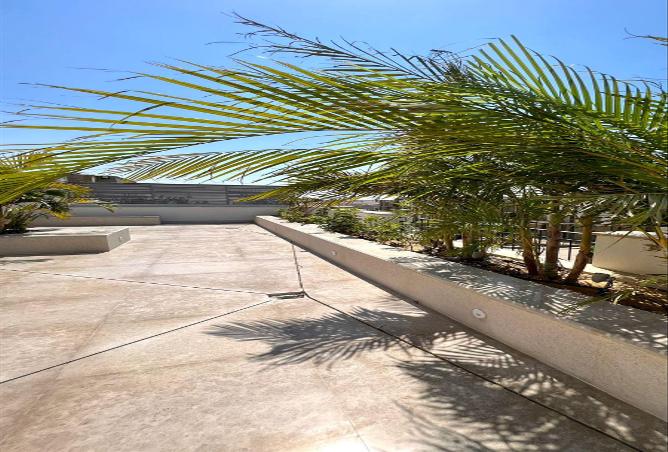 53218852 - صورة العقار 2