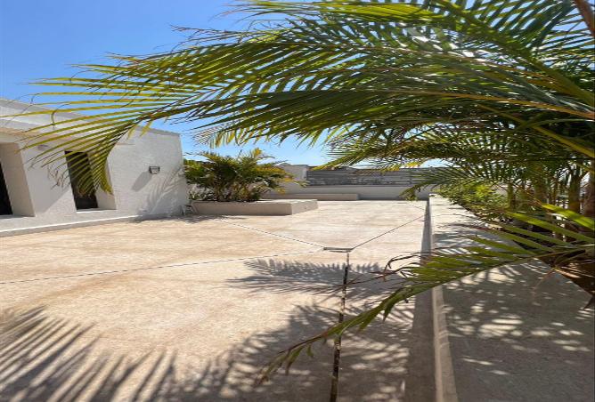 53218852 - صورة العقار 3