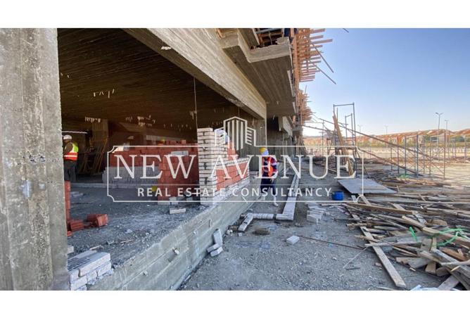 8406003 - Property Image 3