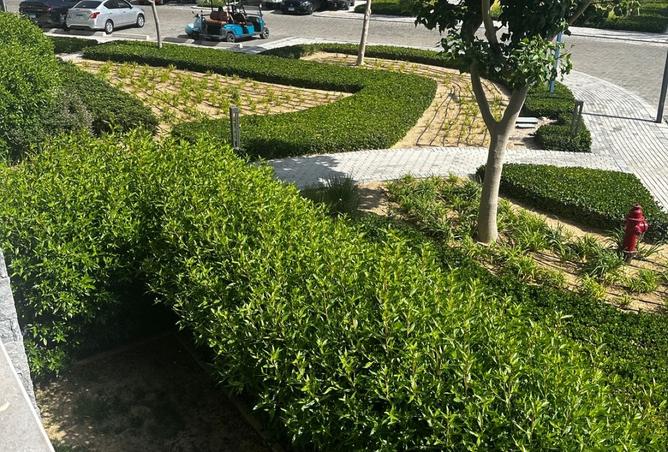 103762592 - Property Image 2