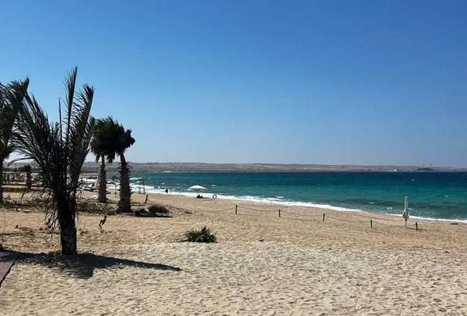 73771381 - صورة العقار 2