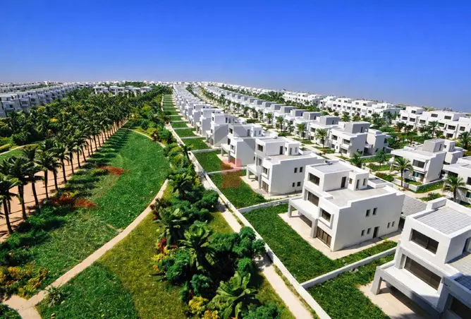 115168957 - Property Image 3