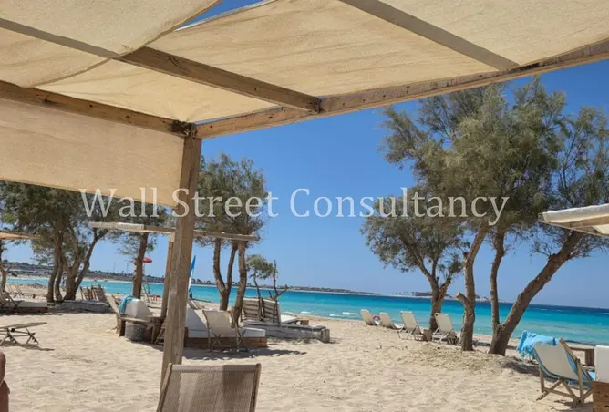 107399188 - صورة العقار 2