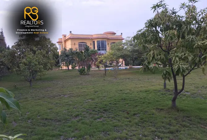 116488835 - صورة العقار 3