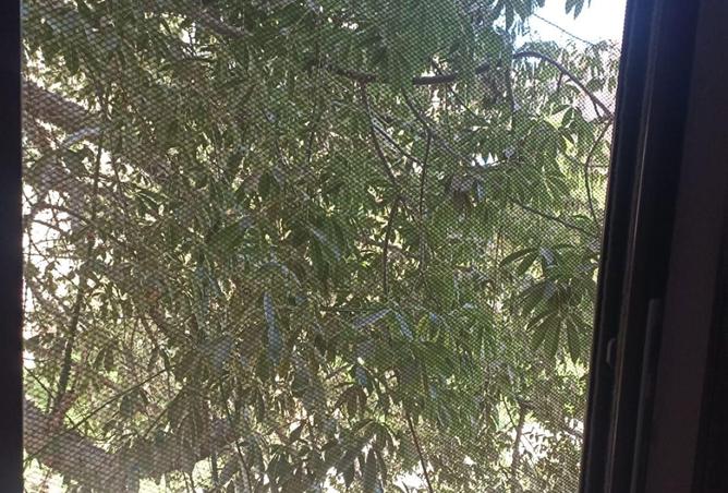 8713008 - صورة العقار 3