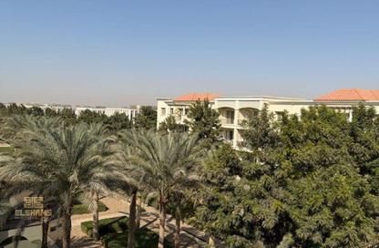 Apartment - 3 Bedrooms - 3 Bathrooms for rent in Mivida - 5th Settlement Compounds - The 5th Settlement - New Cairo City - Cairo Apartment - 3 Bedrooms - 3 Bathrooms for rent in Mivida - 5th Settlement Compounds - The 5th Settlement - New Cairo City - Cairo