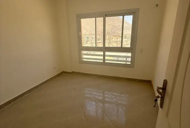 91003246 - صورة العقار 3
