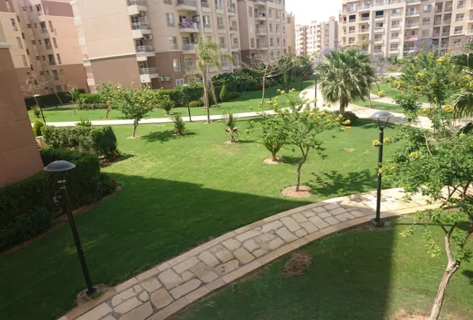 101766764 - Property Image 2