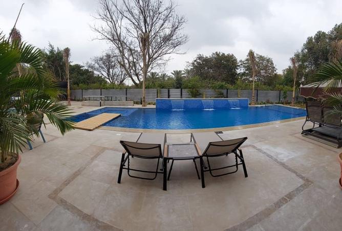 105163072 - Property Image 3