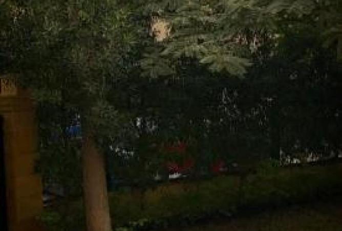 63880413 - صورة العقار 2