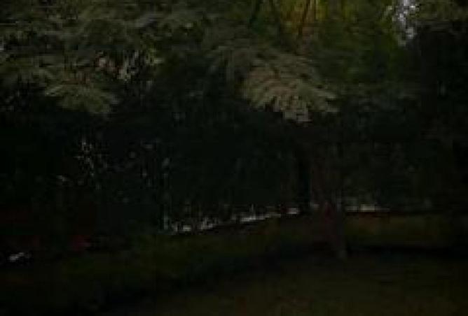 63880413 - الصورة الرئيسية للعقار