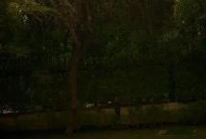 63880413 - صورة العقار 3