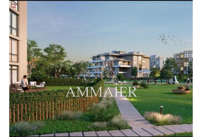 103761267 - Property Image 3