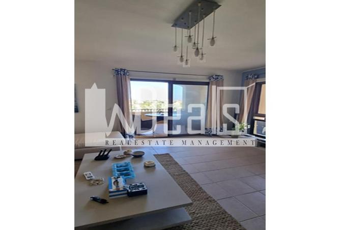 57244572 - Property Image 2