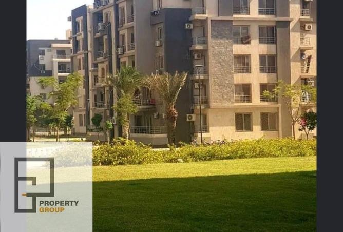 53979291 - Property Image 3