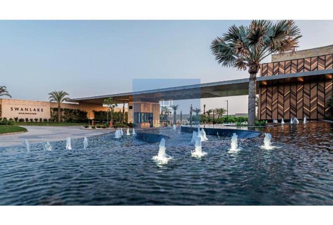 60471087 - Property Image 3