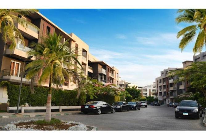 64635856 - صورة العقار 2