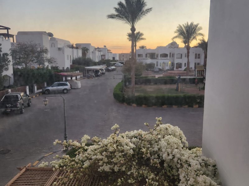 1BR Apartment | Landmark View | Sharm thumbnail