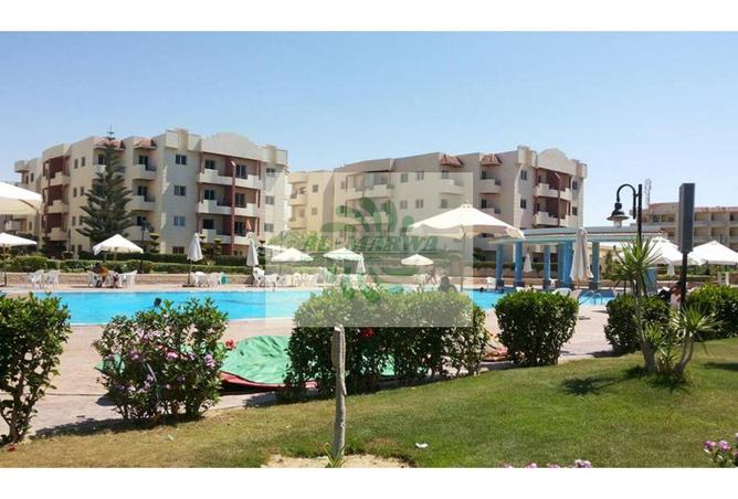 66420869 - Property Image 3