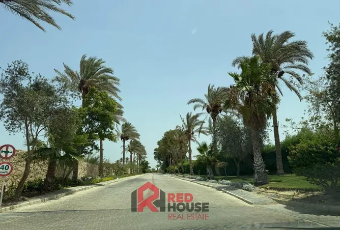 84788203 - صورة العقار 2